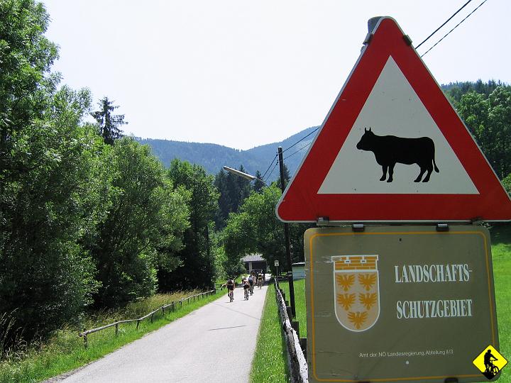 Karta1_ 209.jpg - "Gdy tak sobie podchodzę pchając mój kochany rower, przypominają mi się skąpane w słońcu alpejskie polany, gdzie pasą się pełne mleka krowy, gdzie mogę leżeć cały dzień słuchając szumu traw".